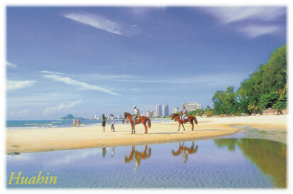 Beach View  of Condo
