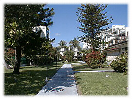 path from pool photo