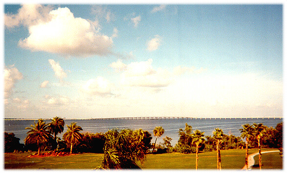 View of Tampa Bay